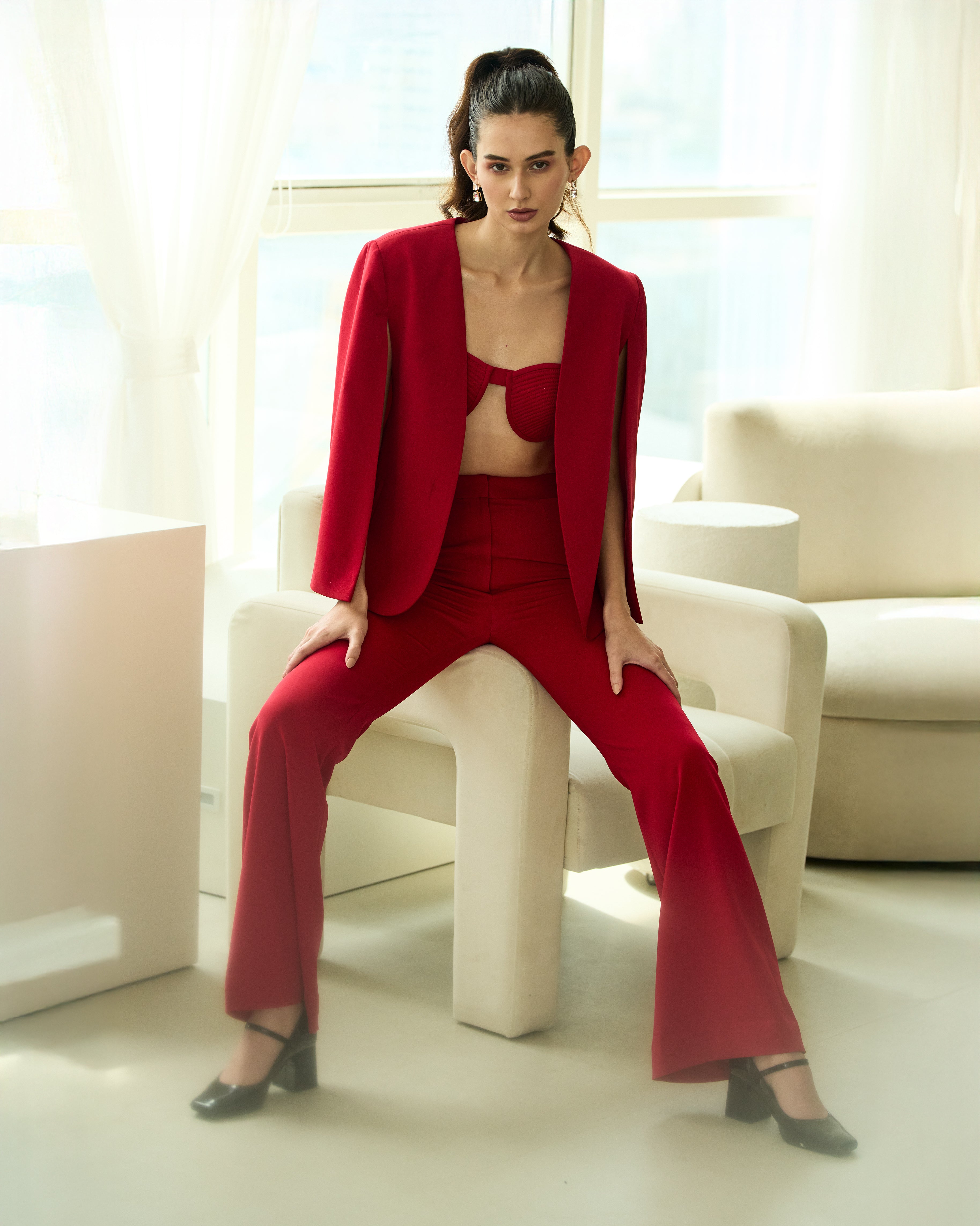 The Scarlet Authority Set Main image