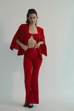The Scarlet Authority Set
