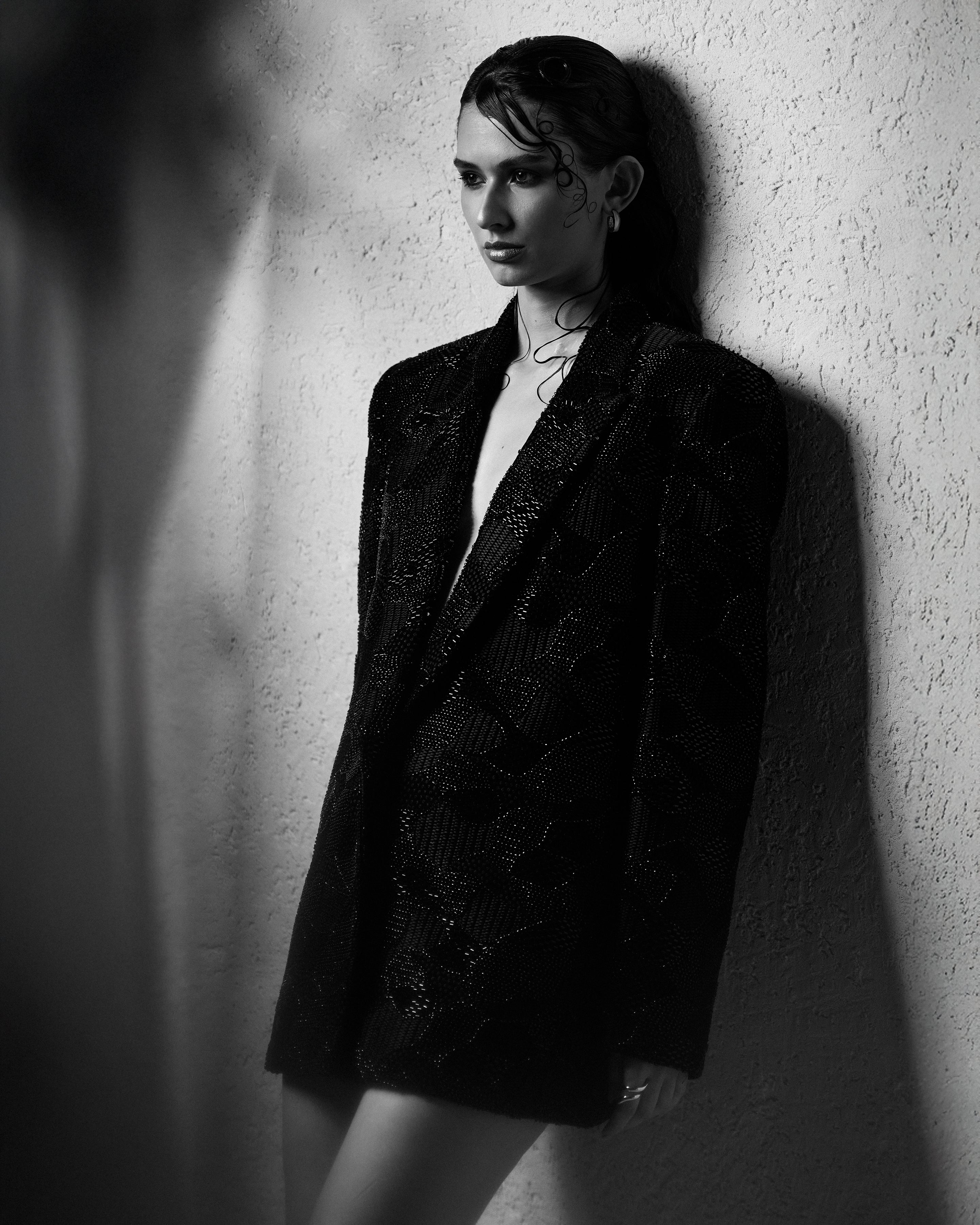 The Shadow Blazer Dress Main image