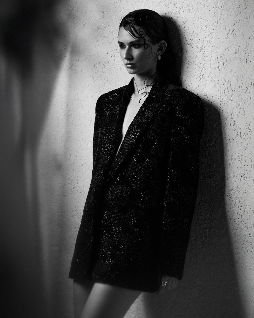 The Shadow Blazer Dress