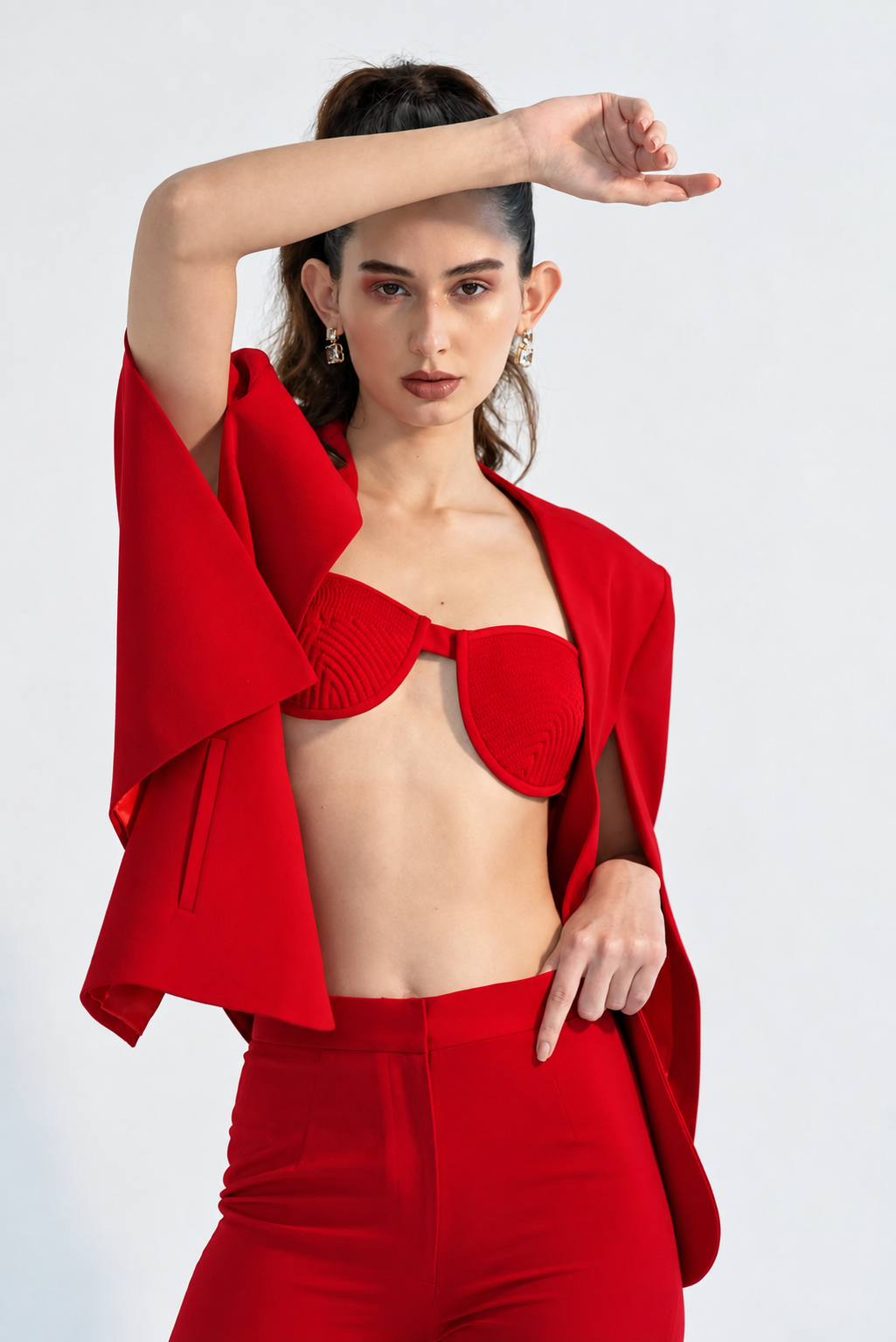The Scarlet Authority Set Secondary image